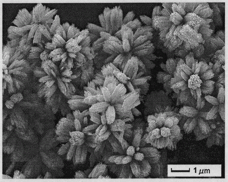 cn101811728a_微波法合成花簇状zno等级纳米结构失效