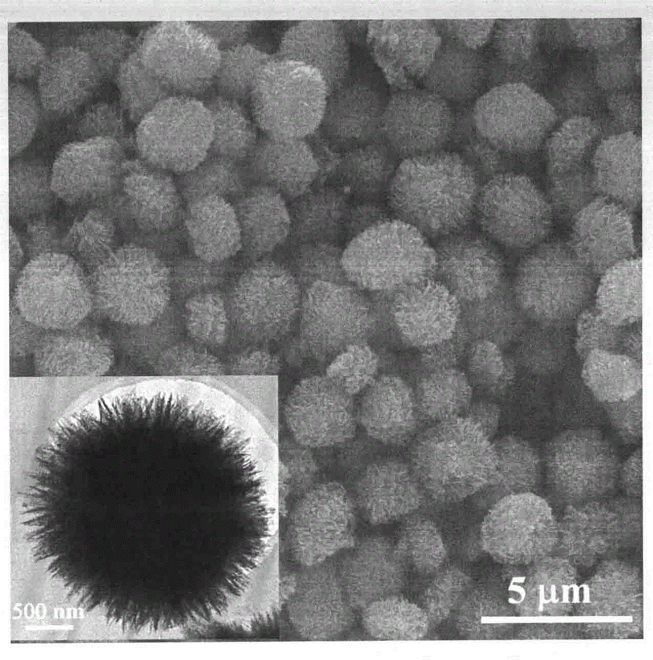 cn102153138a_一种基于纳米棒和纳米颗粒组成的分等级二氧化钛微米球