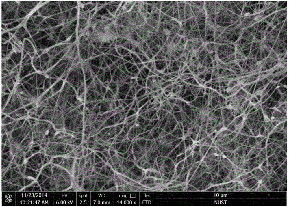 cn105002231a_一种生物转化桑叶制备细菌纤维素的方法有效