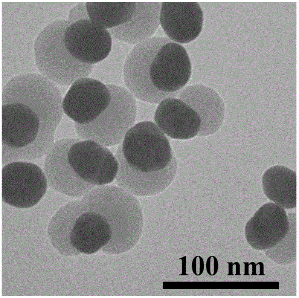 cn105289595a_一种具有高催化特性的金-氧化硅janus结构纳米粒子及其