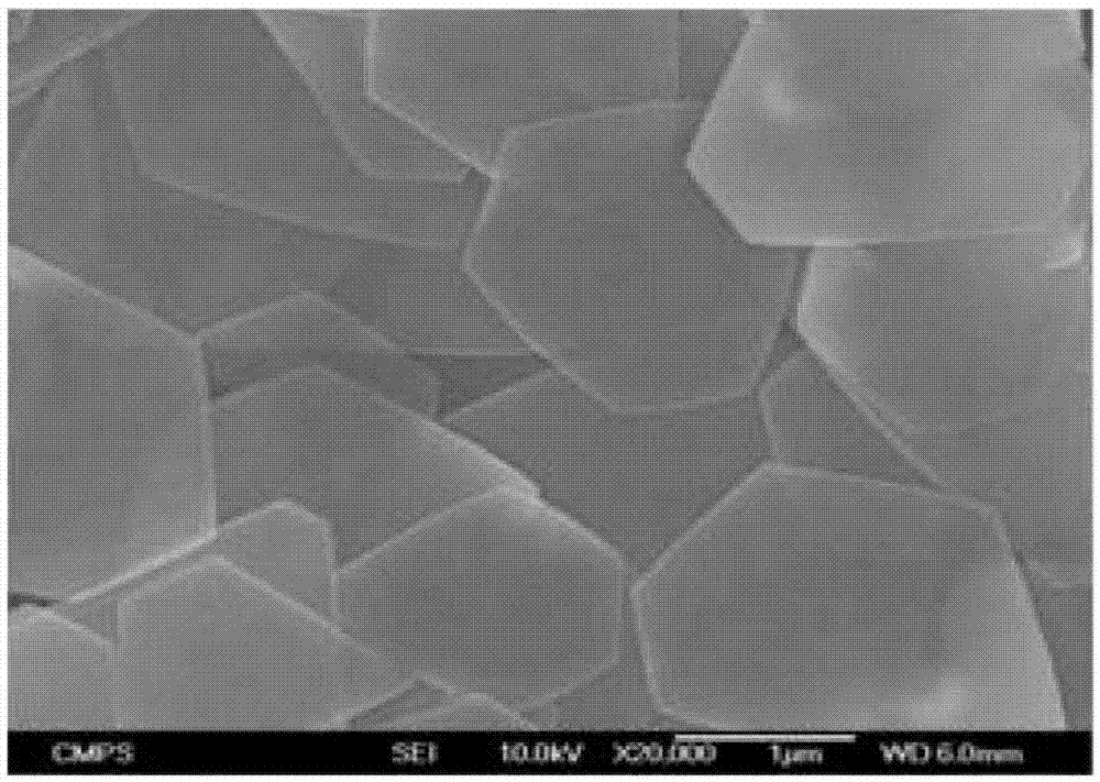 cn105451917a_金属纳米片,用于制备该金属纳米片的方法,包含该金属