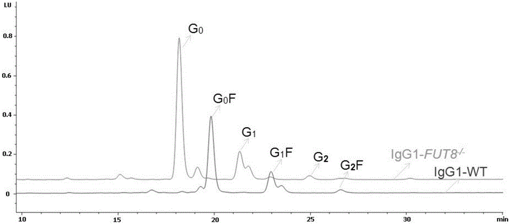 GDP岩藻糖价格_GDP β L 岩藻糖双 三乙胺 盐