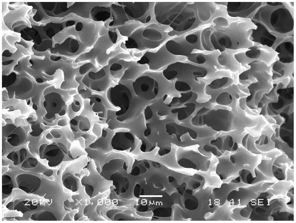 cn104629176b_一种开孔型聚丙烯微孔发泡片材及其生产方法有效