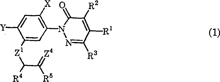 哒嗪-3-酮衍生物及其用途