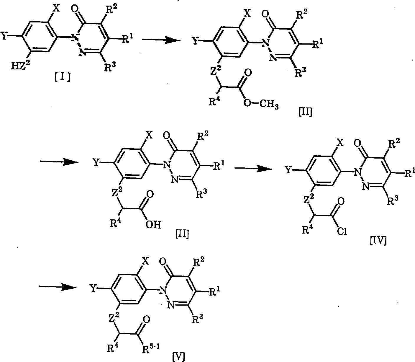 哒嗪-3-酮衍生物及其用途